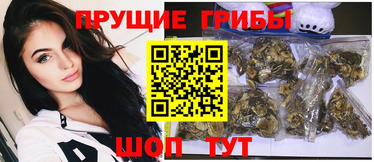 Псилоцибиновые грибы Magic Shrooms  Вход с VPN  Сланцы 
