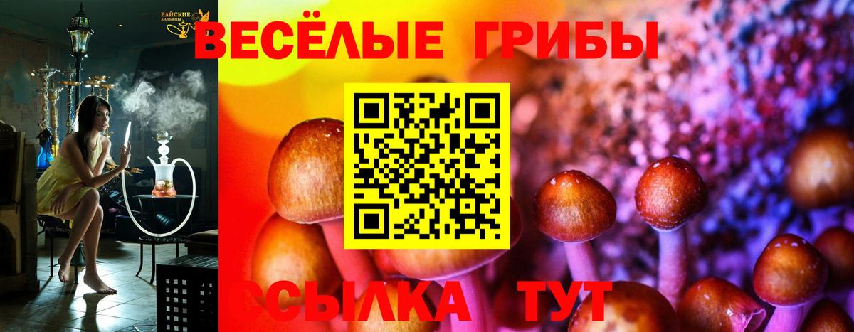 Псилоцибиновые грибы MAGIC MUSHROOMS Сланцы